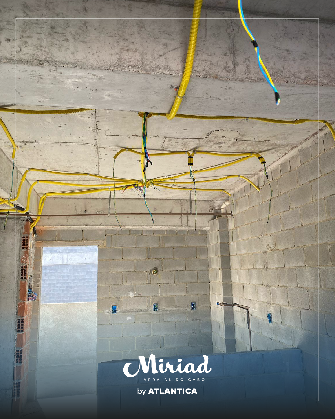 miriad_obra_card1 cópia 5