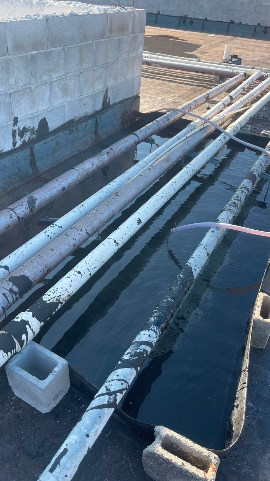 miriad-avanco-obras-3